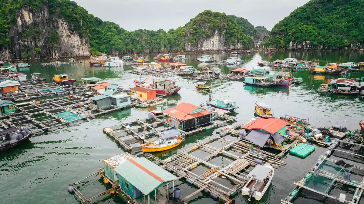 Làng chài Việt Hải